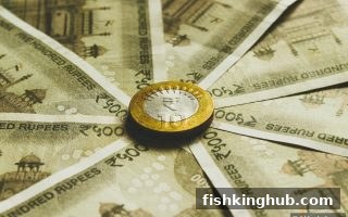 捕鱼王指南：USDT充值状态查询与异常处理全攻略