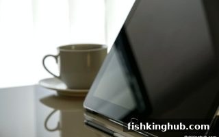 捕鱼王深度解读：百家乐概率优化与返点收益策略