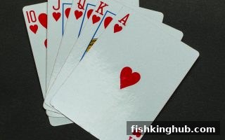 捕鱼王深度解析：闲庄与庄家的核心区别与制胜策略