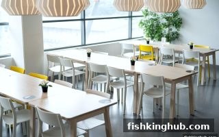 捕鱼王带你揭秘：五龙争霸游戏评估实战手册