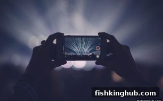 捕鱼王攻略：筹码洞察法助你称霸SG电子，提升游戏胜率