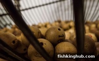 捕鱼王深度解析：时时彩与幸运飞艇选号策略全攻略