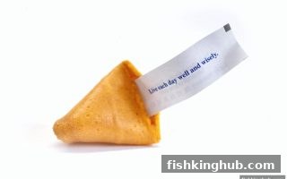 捕鱼王带你揭秘双色球冷热门号走势：从数据中挖掘选号密码
