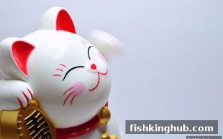 捕鱼王带你解析六合彩奖金分配与滚球技巧，科学参与更有趣