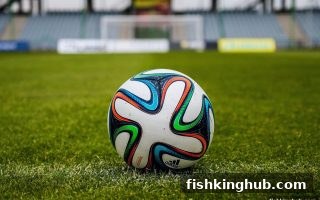 捕鱼王深度解析：用数据思维优化彩票投注与洞悉PG电子爆分逻辑