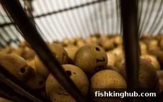 捕鱼王提醒：斗地主玩法背后的消费心理与理性决策指南