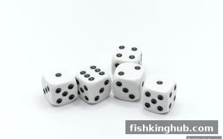 捕鱼王解密：牛牛对局中的心理战术合规指南