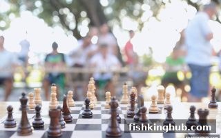 德州扑克入门到精通：捕鱼王带你玩转牌桌策略