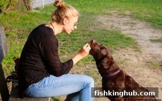 捕鱼王带你玩转每日返水：博九体育回馈活动全解析