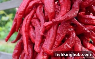 捕鱼王亲测：首存返利全攻略，让四川麻将玩家少走弯路