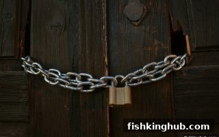 捕鱼王揭秘：免实名出款模式为何让玩家趋之若鹜？