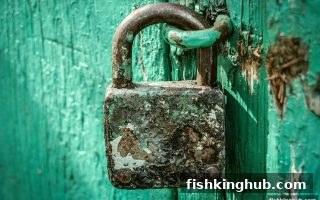 捕鱼王深度解析：足球直播互动投诉维权实战攻略