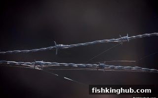 捕鱼王警示：拆解节日红包活动细则里那些容易被忽略的规则陷阱