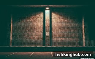 捕鱼王炮台角度全解析与VIP礼包进阶指南