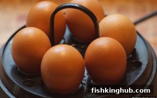 捕鱼王玩家必读：连线设计策略与充值问题完全解析