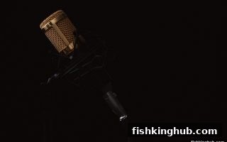 捕鱼王指南：打鱼机即时比分分析的精髓与趋势追踪技巧