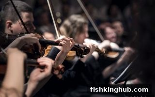 捕鱼王带你玩转PG平台：比分预测的成功实战与理性策略